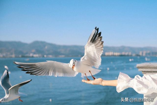 国庆川滇一家三口实测 6 天路线，本地人教的穿搭省钱方案来啦来啦