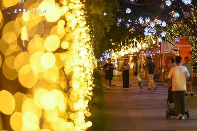 厦门园博苑花灯又上新！走进秋夜浪漫花月夜~