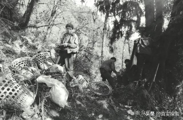 39 寻找大瀑布【岩洞营地—坡间营地】阴多云夜雨(原始日记)雅漂