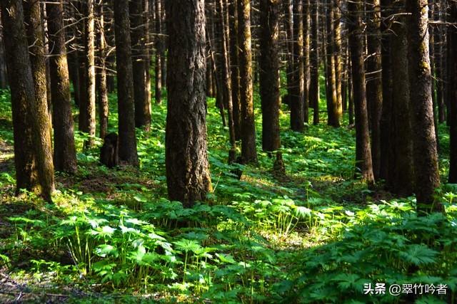 在山西忻州避暑，舒服到不想回家了