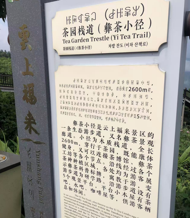 你知道吗？乐山马边的茶园里藏着一本武侠小说！