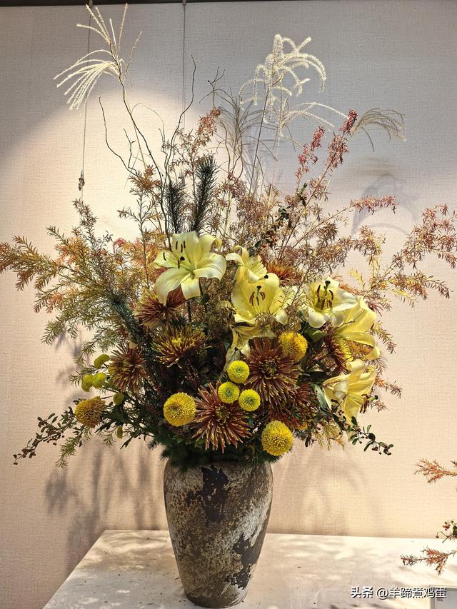 秋风独宠一园菊，晚来香艳出樊篱——北京北海公园2025年菊花展