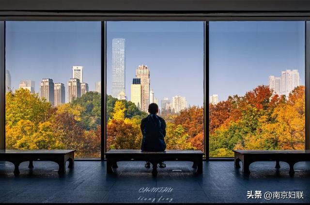 南京这些“魔法之窗”，怎么拍都出片！