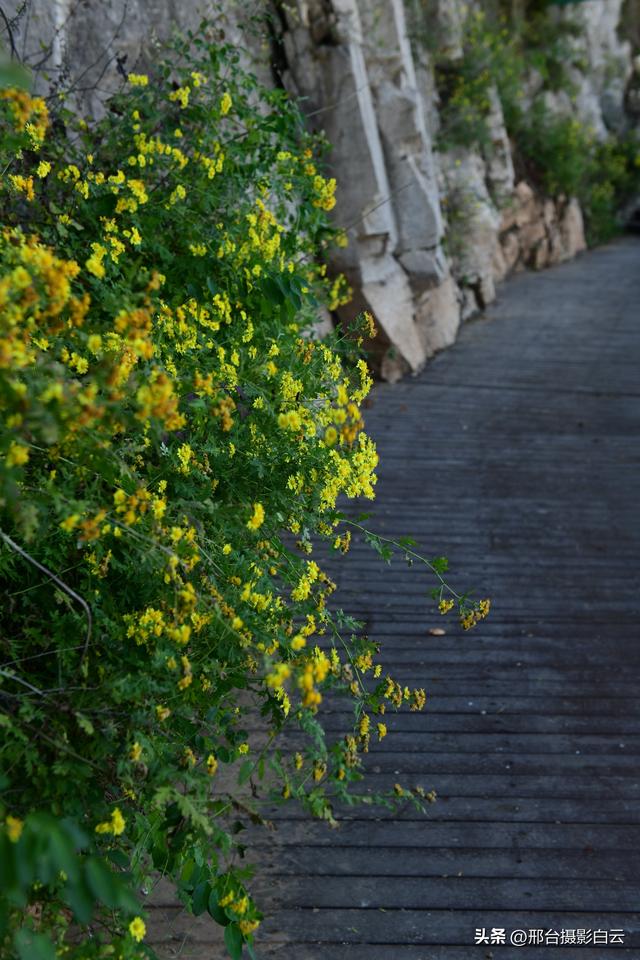 邢台天梯山：秋色美景入画来