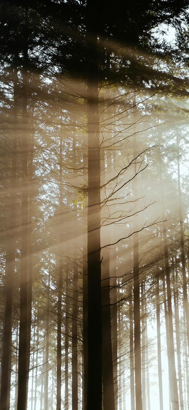 风景壁纸