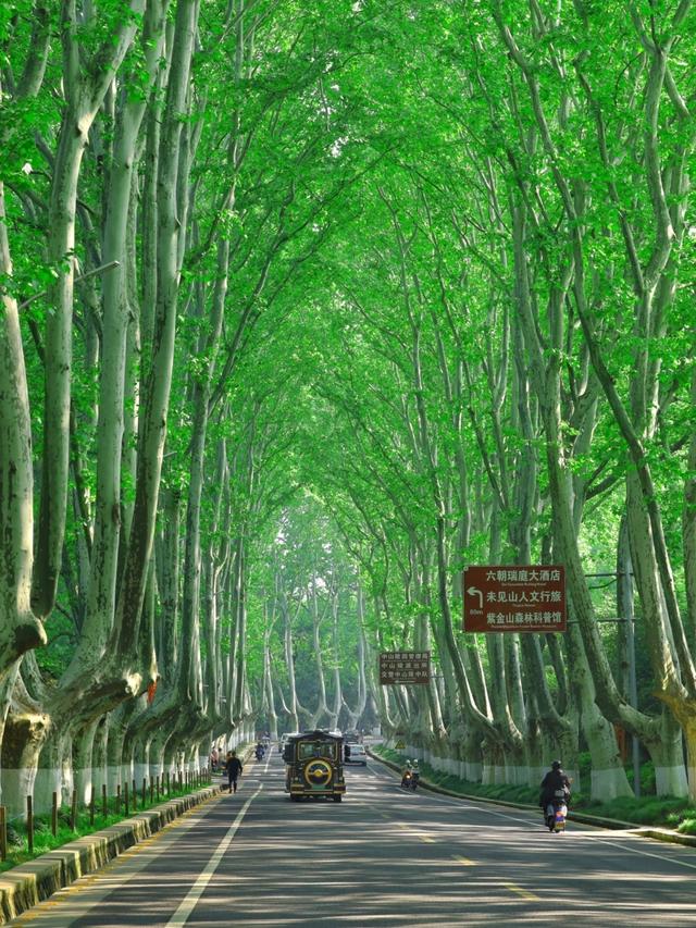 广州人逛了南京和扬州，直言不讳：南京和扬州人根本是两种活法！