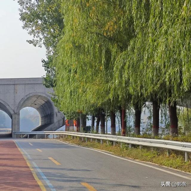 魏县:一卷斑斓 满城诗意