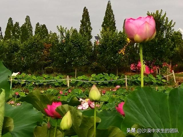 一“招”让你快速改变自己“不顺的命运”的方法你必须要知道