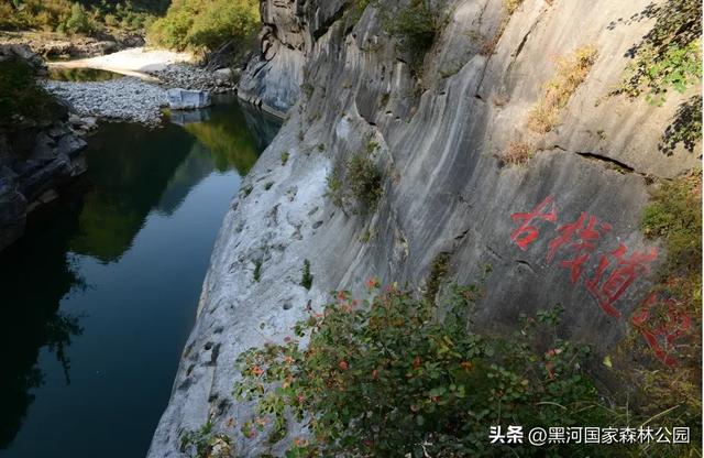 初秋限定美景，在黑河，听见了风与水的私语