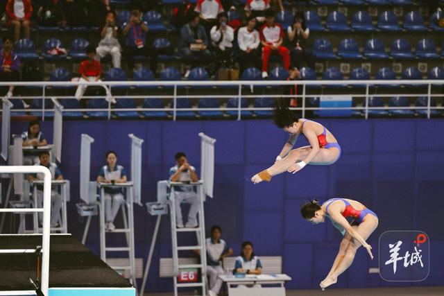 全红婵的两句“没关系”，为何刷屏全网？︱羊晚政见