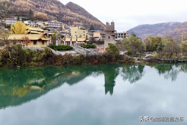 秋辞官鹅：一季斑斓入岁华