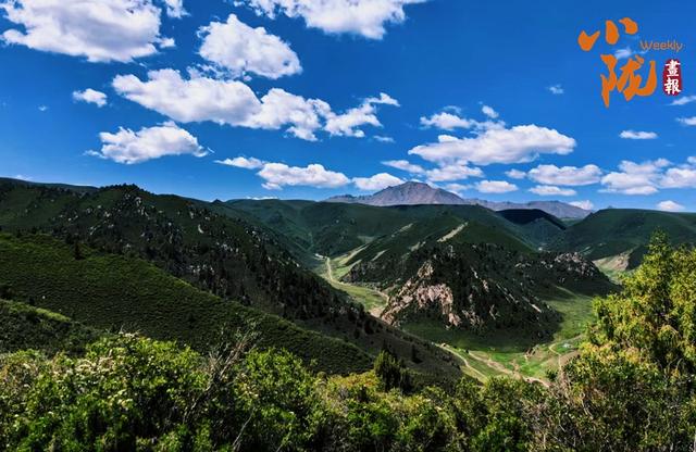 【小陇画报·406期】红石窝草原的秋 藏在高山上的诗意