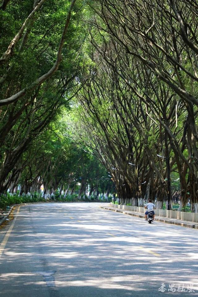 调至→City Drive模式