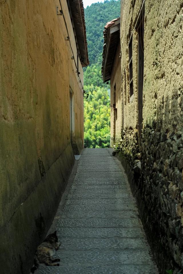 逛古村，喝咖啡，高端的度假就是这么朴实无华