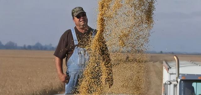 中国拒购涨价巴西大豆，巴西随即反制，并对华发起反倾销调查