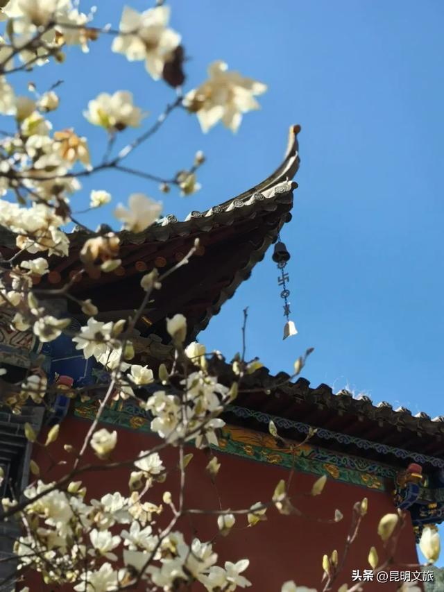 新晋顶流!「阴丹蓝+初雪白」,冬日昆明继续上分,你该换屏保了~