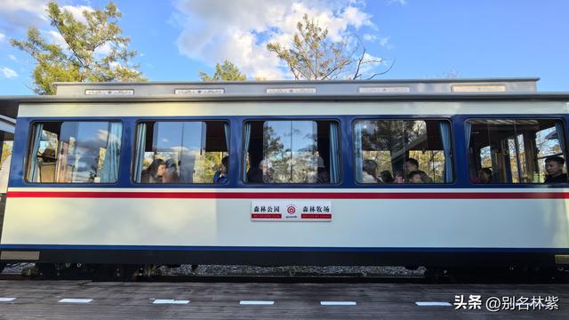 莫尔道嘎500元包车一日游，我都去了哪些地方，详细攻略分享