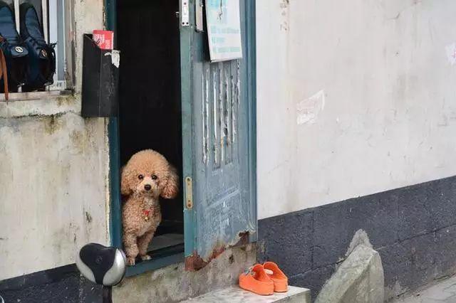 小巷深处的故事
