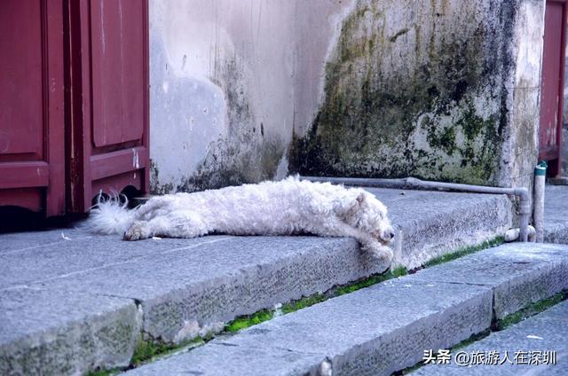 深圳大鹏古城，探秘 600 年历史赏沧桑古城墙，打卡 4 大亮点景观