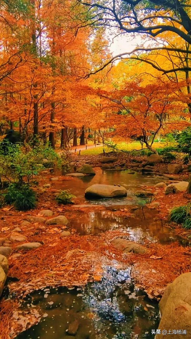 快来杨浦打卡！这条游玩线路有料又出片→