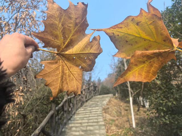 来日真的方长吗？