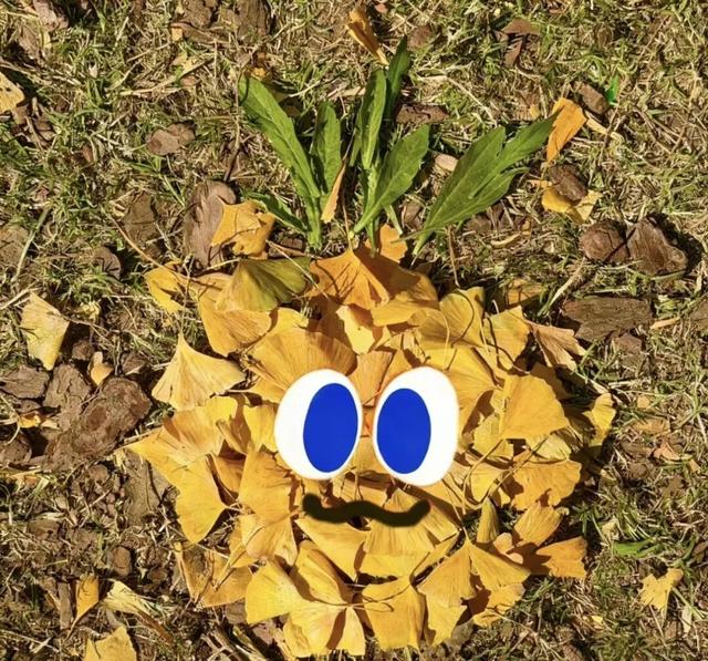 在汉阳的秋天，捡出一个灵感宝库