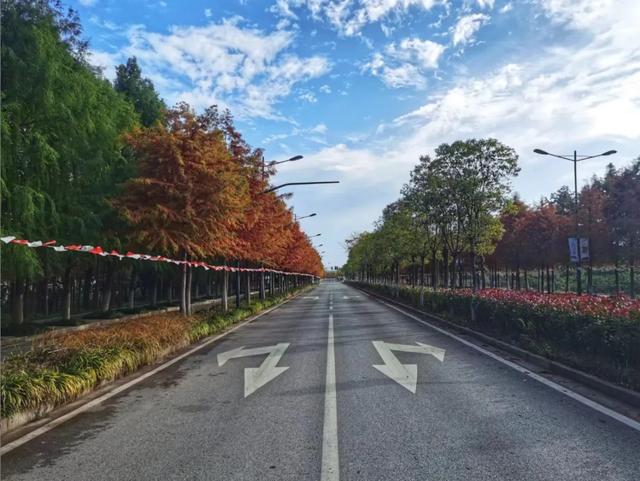 湿地、日出、星空、美食……来自这里的邀请函是否让你心动？