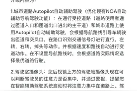 FSD在华落地？特斯拉城市道路自动辅助驾驶功能上线图片