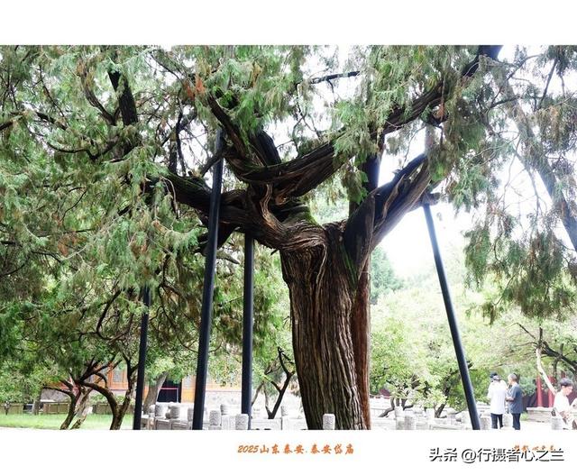 山东行游影记（307）—泰安岱庙（三）