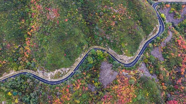 美到窒息！太行一号旅游公路铺开秋日油画长卷