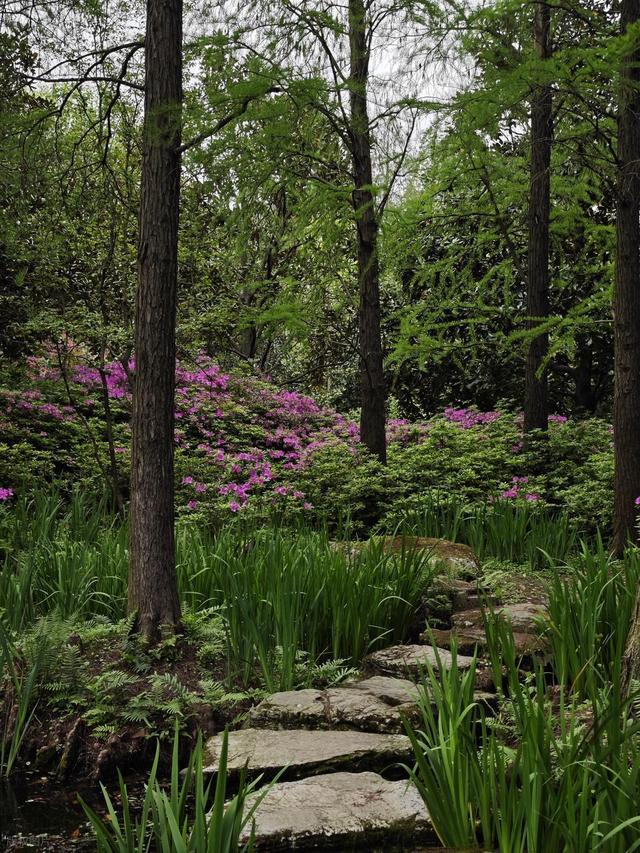 上海值得去的6个公园推荐！全部免费，好看又好玩！你都去过几个