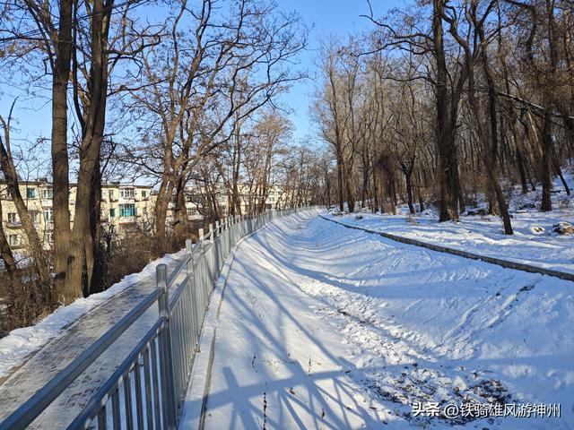春节快到了，本溪动植物园开始在大门口塑冰雕了