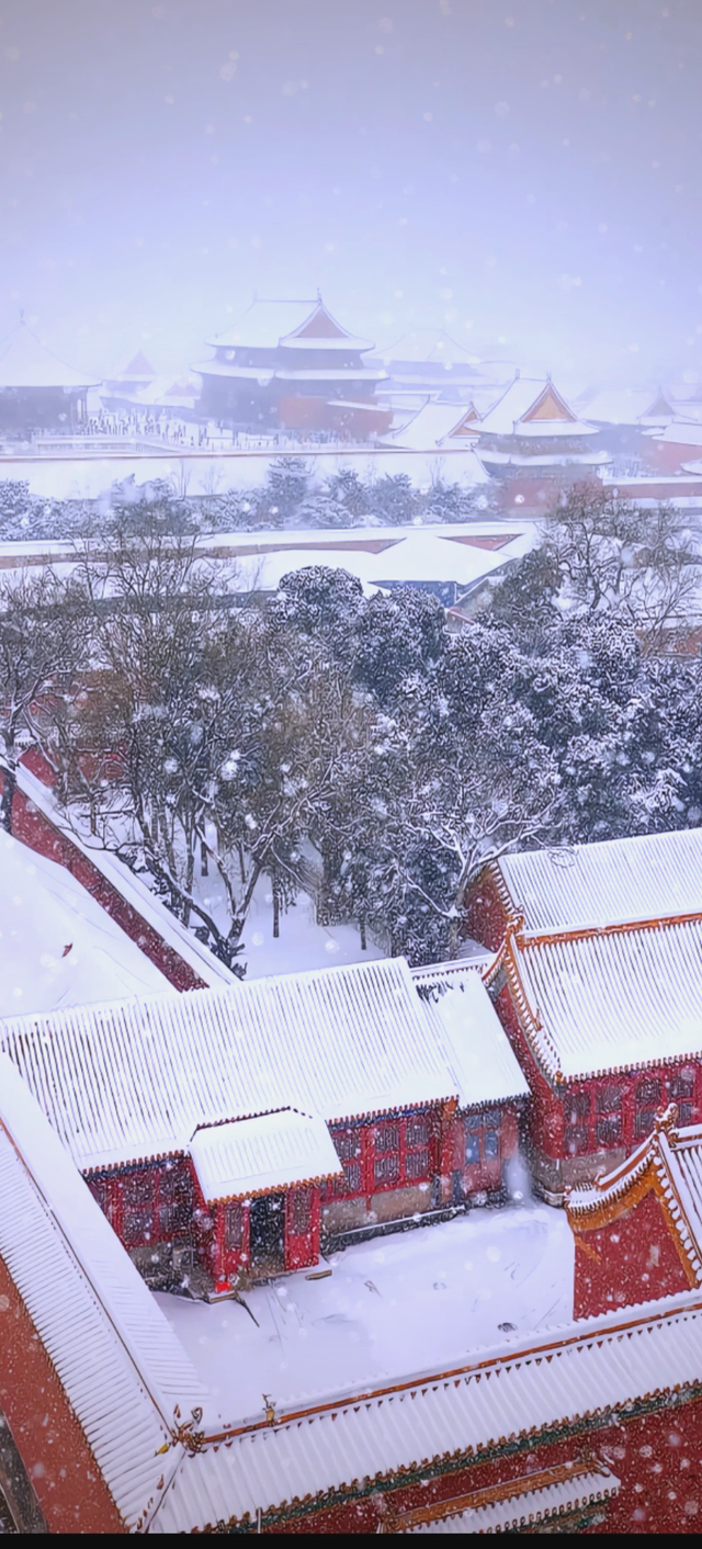北京初雪 “稳了”！没想到：故宫本周六门票，秒光！