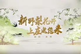 梨花开成海，大戏唱翻天！河南新野上庄邀你共赴春日“梨园盛宴”图片