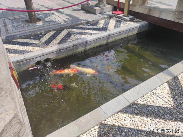 西安最值得一去的寺庙，不花钱却上香祈福全有，康熙乾隆亲笔题字