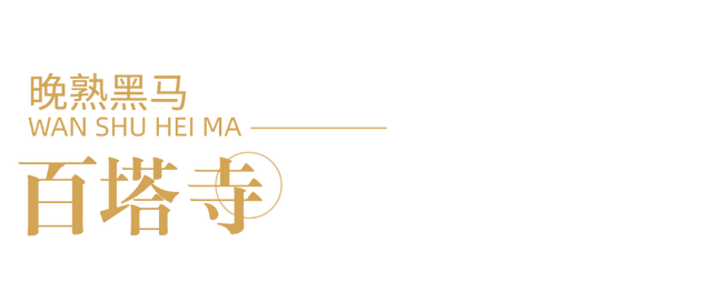 顶流回归！西安5个绝美银杏打卡地！