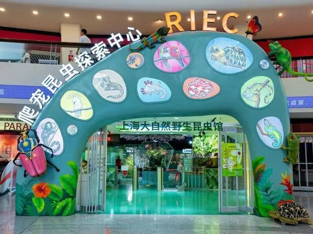 上海景区、古镇假期集体上新！