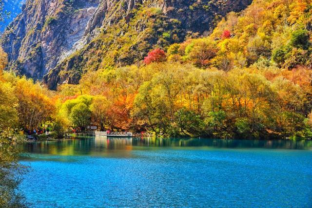 彩林、银杏、红叶...成都周边最值得去的8个景点