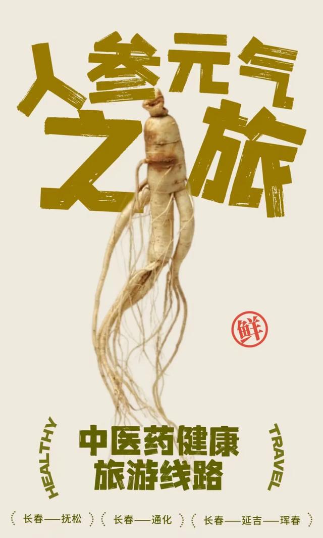 这把~养生局！元气之旅GoGoGo！