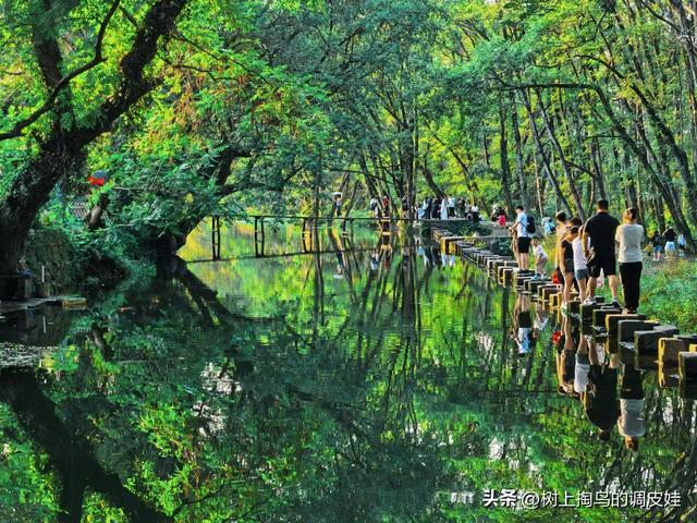 中国版绿野仙踪黄山湿地！假期结束了，新的生活即将开启了