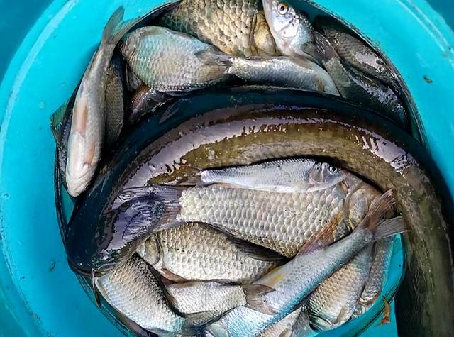 冬天调漂怎么调？老钓手调平水最灵!一招解决轻口难题，出口清晰