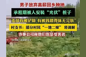 麦田被安装光伏后续，施工方违法不知！村支书回应：村民一地二嫁图片