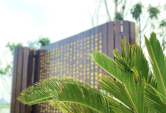 武汉人，去了浠水跟蕲春两县，直言不讳：浠水跟蕲春天差地别