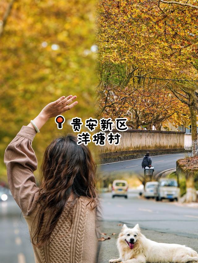 🌲别再去观山湖公园挤了！这9个小众地同样美到爆