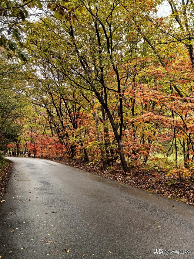 2025辽宁赏秋之旅日记(2)——游览丹东蒲石河森林公园