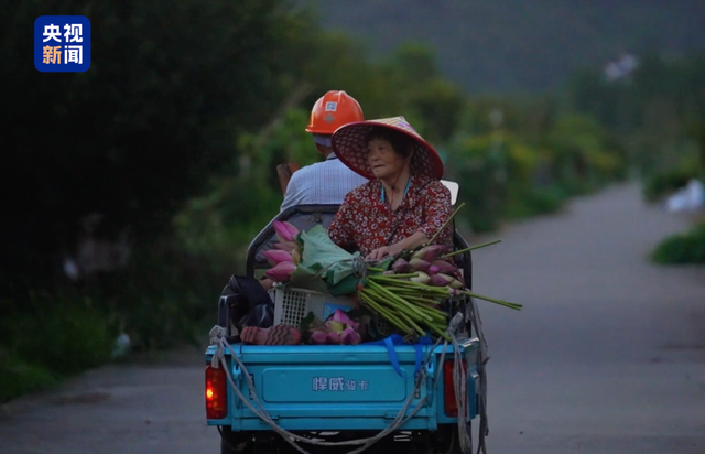 荷花市集火出圈！原来这些花是坐公交、地铁来的
