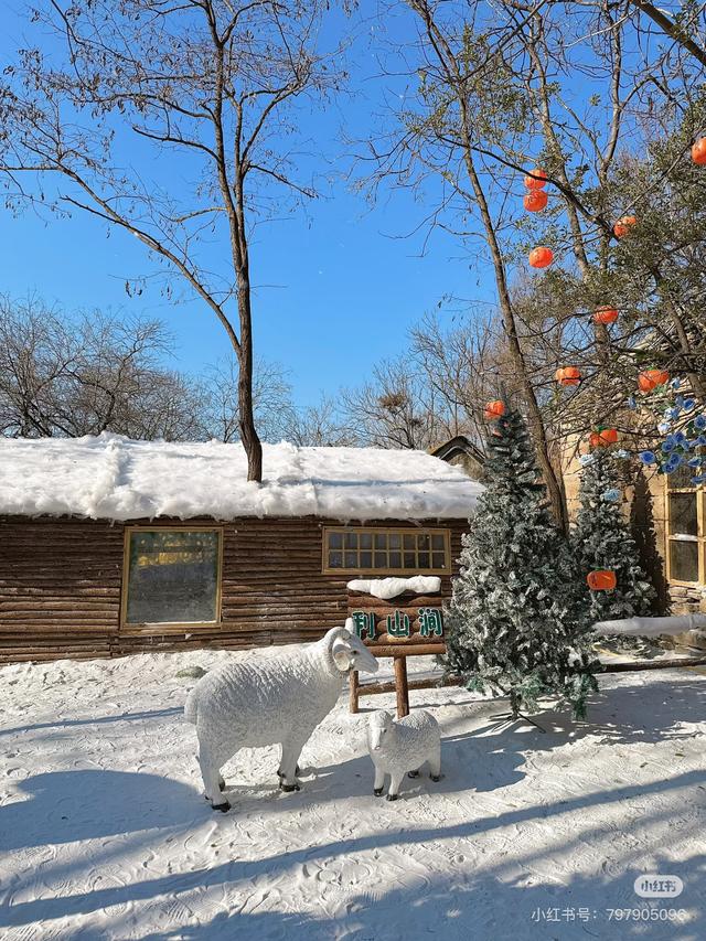 临沂竟藏了这么多“雪村”！你有去过吗？