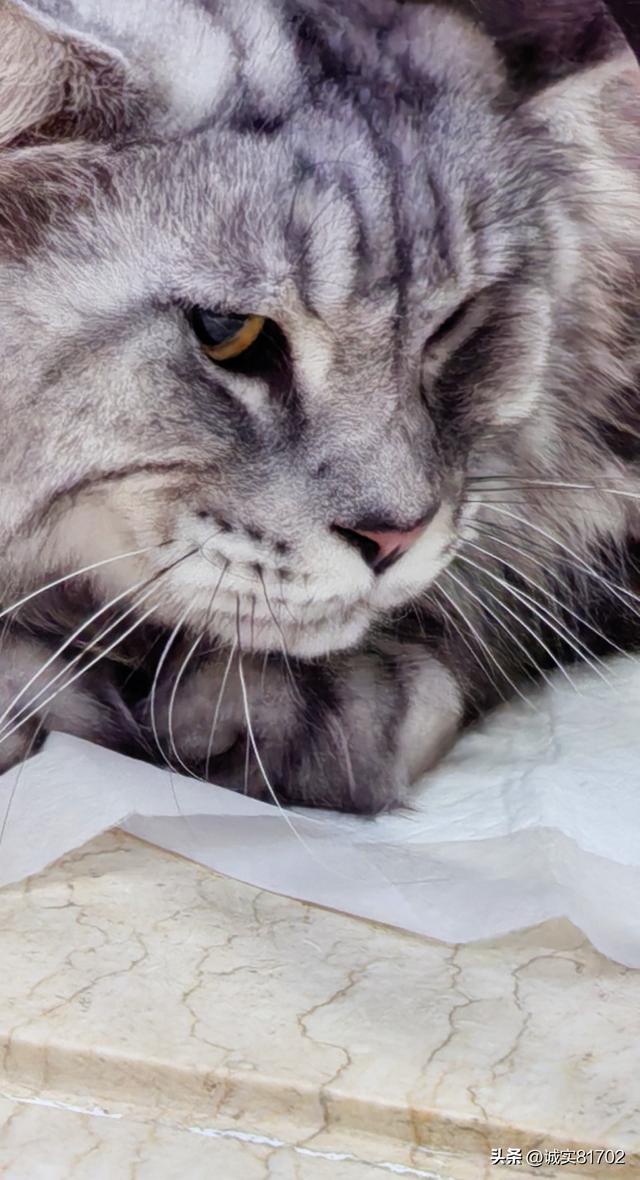 真的无语，挑拨离间的人真可恶，亲戚的两个儿媳妇，竟然反目成仇