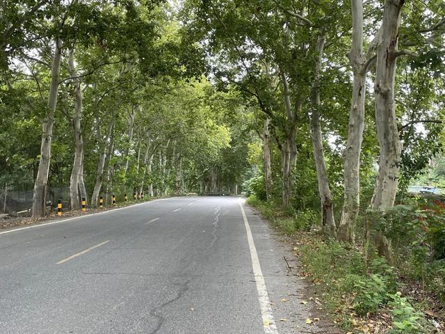 骑游滁州西神山寺森林公园花山风景线