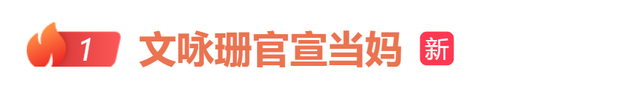 文咏珊官宣生子
